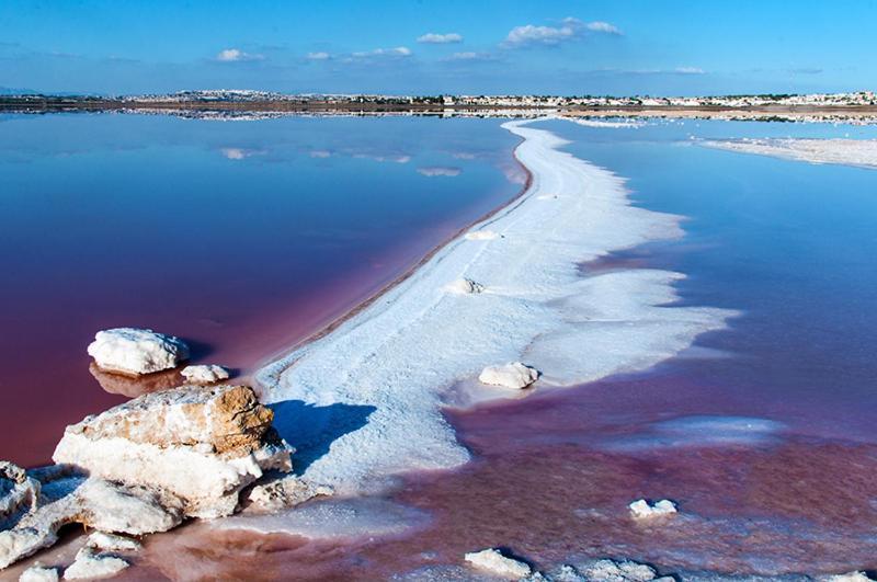 Torrevieja Experience Mar Azul Διαμέρισμα Εξωτερικό φωτογραφία